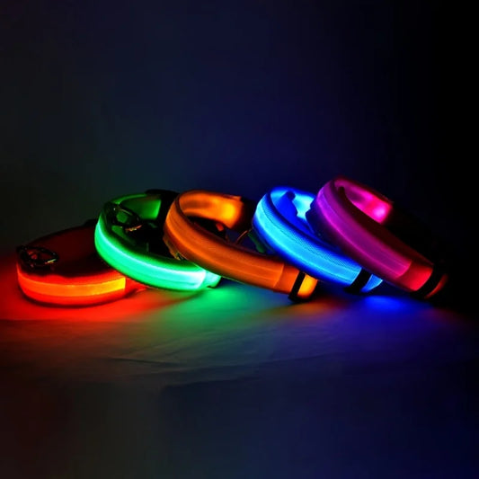 GlowSafe LED Dog Collar