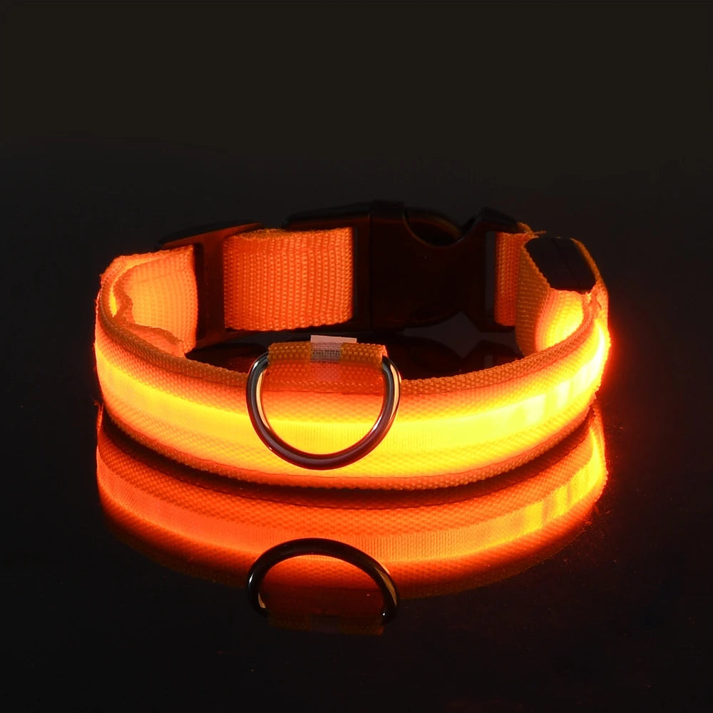GlowSafe LED Dog Collar
